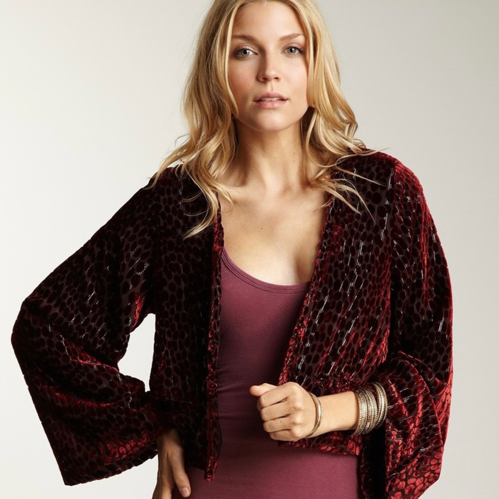 EUC Winter Kate Velvet Burnout Jacket
